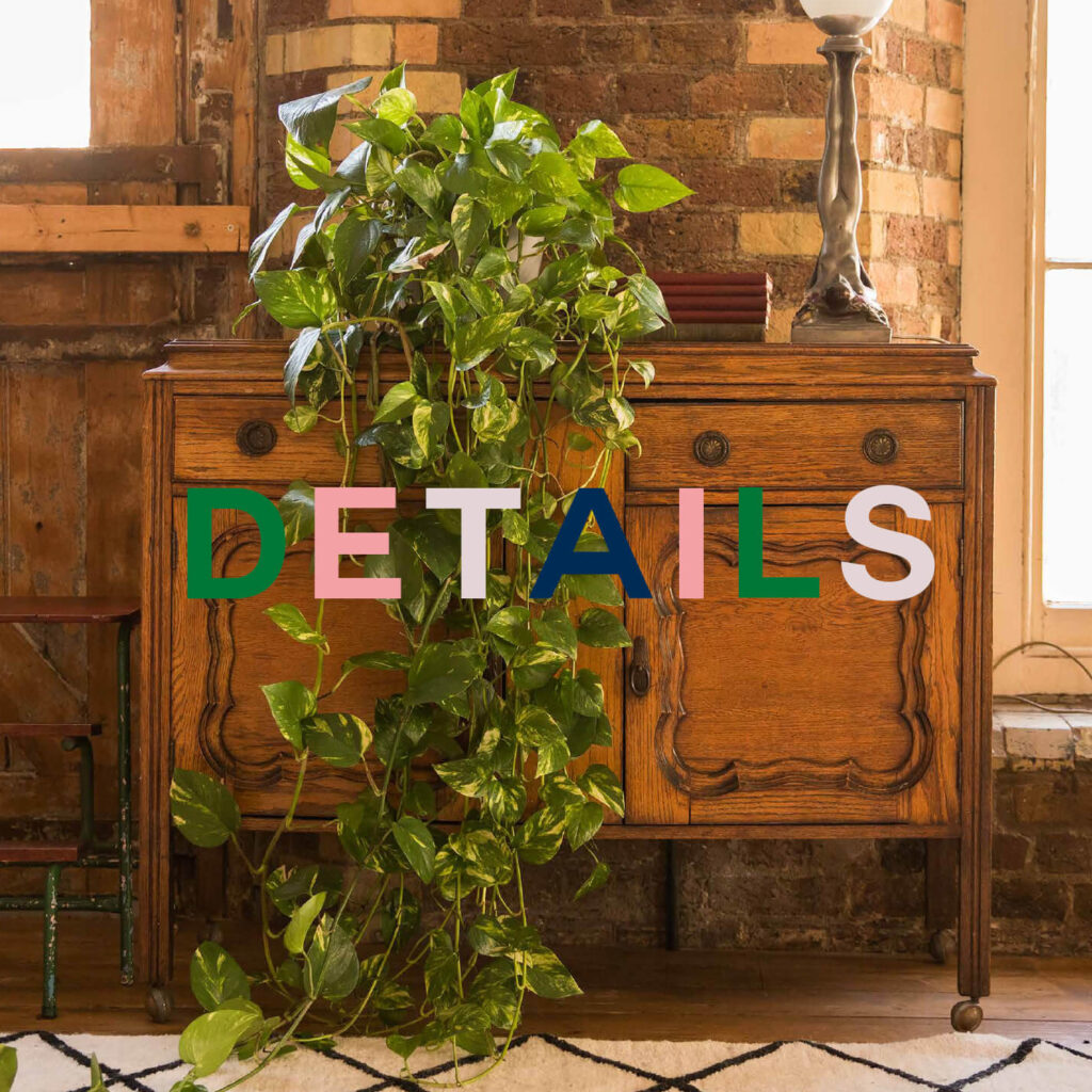 Wooden cabinet and indoor plant in rustic interior at Menier Venues with “Details” overlay