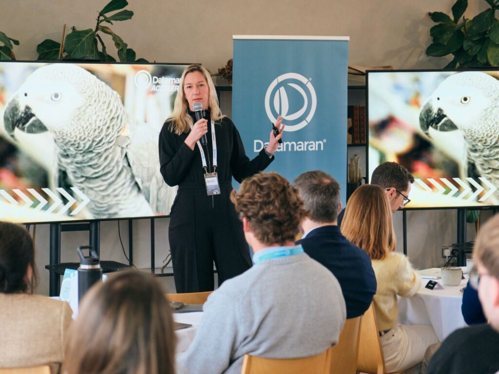 Speaker addressing an audience flanked by dual presentation screens showing a parrot during a Datamaran corporate event.